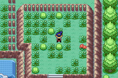 [PokeCommunity.com] Pokemon Hollow Mysteries
