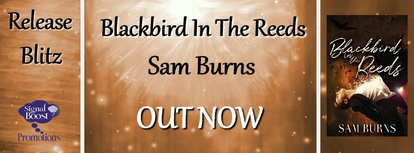 Sam Burns - Blackbird In The Reeds RBBanner