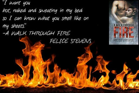 Felice Stevens - A Walk Through Fire Teaser 1