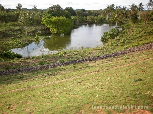7ddb23f59eaf72e205135660aa11ffd595380d72c533f0c311100d7c4c0348a26g.jpg