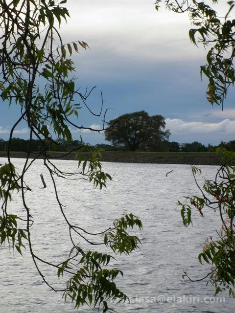 b6598be319570fba09fdd2d8fe83ca83f87ab6a64fc637187cf6afa1ae4178a76g.jpg