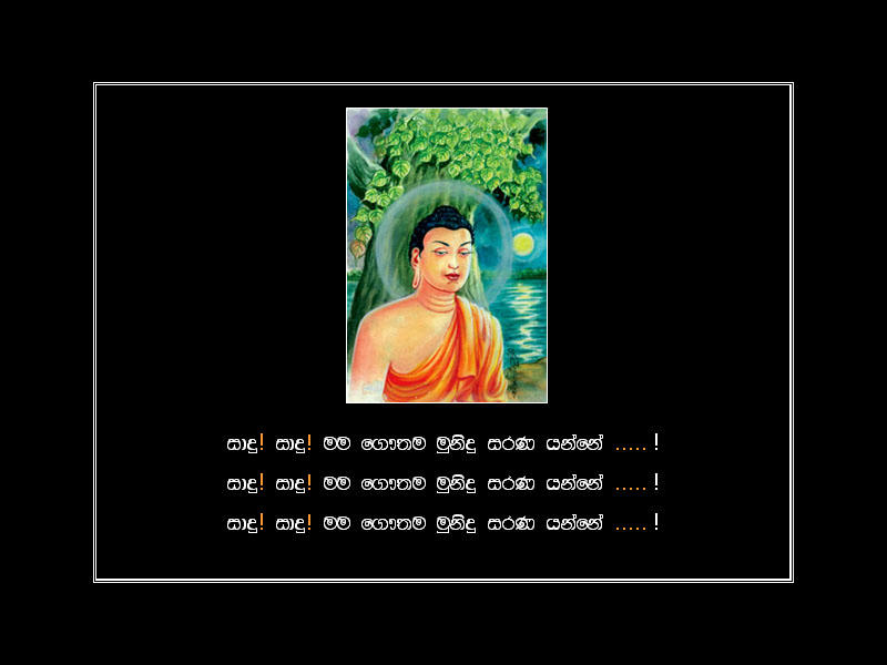 caaa62a4eb63831e4eff737d8d5ba2d65g.jpg